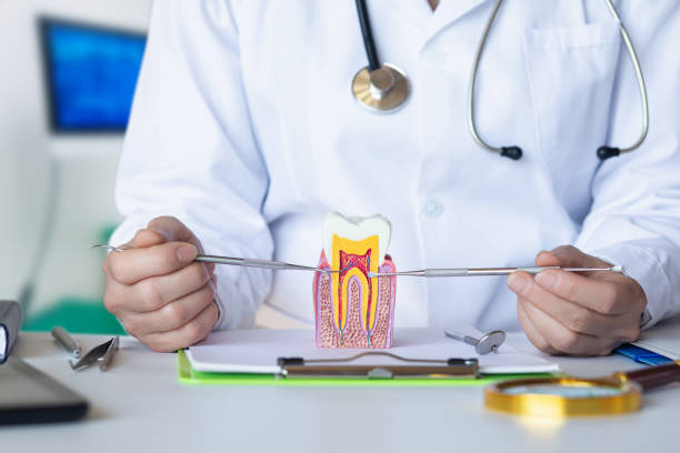 Best Emergency Broken Tooth Repair in Martinsville, NJ